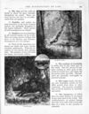 Thumbnail 0127 of New physical geography for grammar and high schools, and colleges