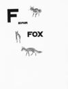Thumbnail 0019 of An alphabet of animals