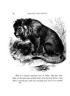 Thumbnail 0014 of Beasts and birds of Africa