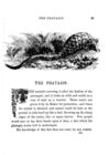 Thumbnail 0055 of Beasts and birds of Africa