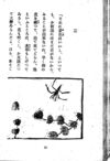 Thumbnail 0022 of 昆虫たちの国