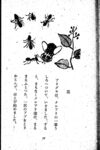 Thumbnail 0030 of 昆虫たちの国