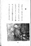 Thumbnail 0031 of 昆虫たちの国