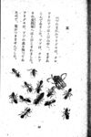 Thumbnail 0032 of 昆虫たちの国