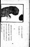 Thumbnail 0050 of 昆虫たちの国