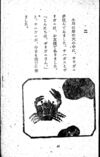 Thumbnail 0051 of 昆虫たちの国