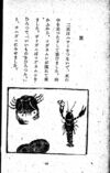 Thumbnail 0052 of 昆虫たちの国