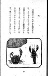 Thumbnail 0055 of 昆虫たちの国