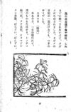 Thumbnail 0059 of 昆虫たちの国