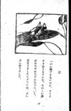 Thumbnail 0073 of 昆虫たちの国