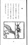 Thumbnail 0075 of 昆虫たちの国
