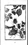 Thumbnail 0083 of 昆虫たちの国