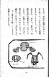 Thumbnail 0085 of 昆虫たちの国