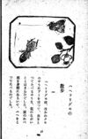 Thumbnail 0094 of 昆虫たちの国
