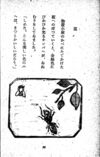 Thumbnail 0096 of 昆虫たちの国