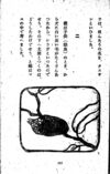 Thumbnail 0117 of 昆虫たちの国
