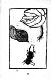 Thumbnail 0127 of 昆虫たちの国