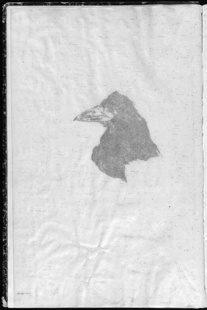 Scan 0008 of Le corbeau = The raven