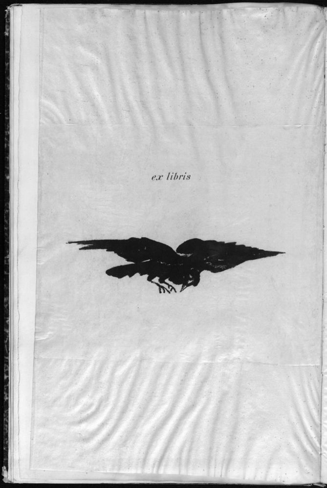 Scan 0030 of Le corbeau = The raven