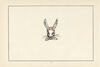 Thumbnail 0012 of The rabbit witch