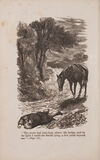 Thumbnail 0006 of Black beauty: His grooms and companions