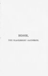 Thumbnail 0004 of Bessie, the blackberry gatherer