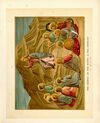 Thumbnail 0019 of Story of the ministry of Christ
