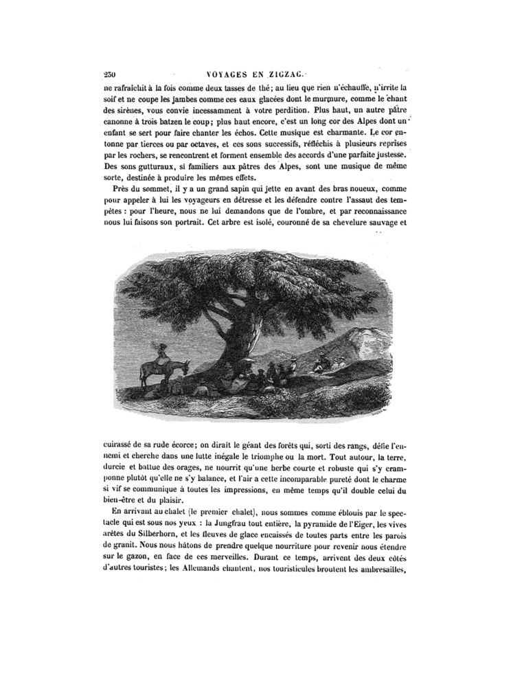 Scan 0290 of Voyages en Zigzag
