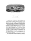Thumbnail 0444 of Voyages en Zigzag