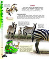 Thumbnail 0124 of Амьтдын ертөнц