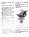 Thumbnail 0031 of Bird tales