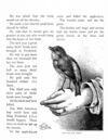 Thumbnail 0038 of Bird tales
