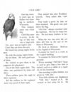 Thumbnail 0042 of Bird tales