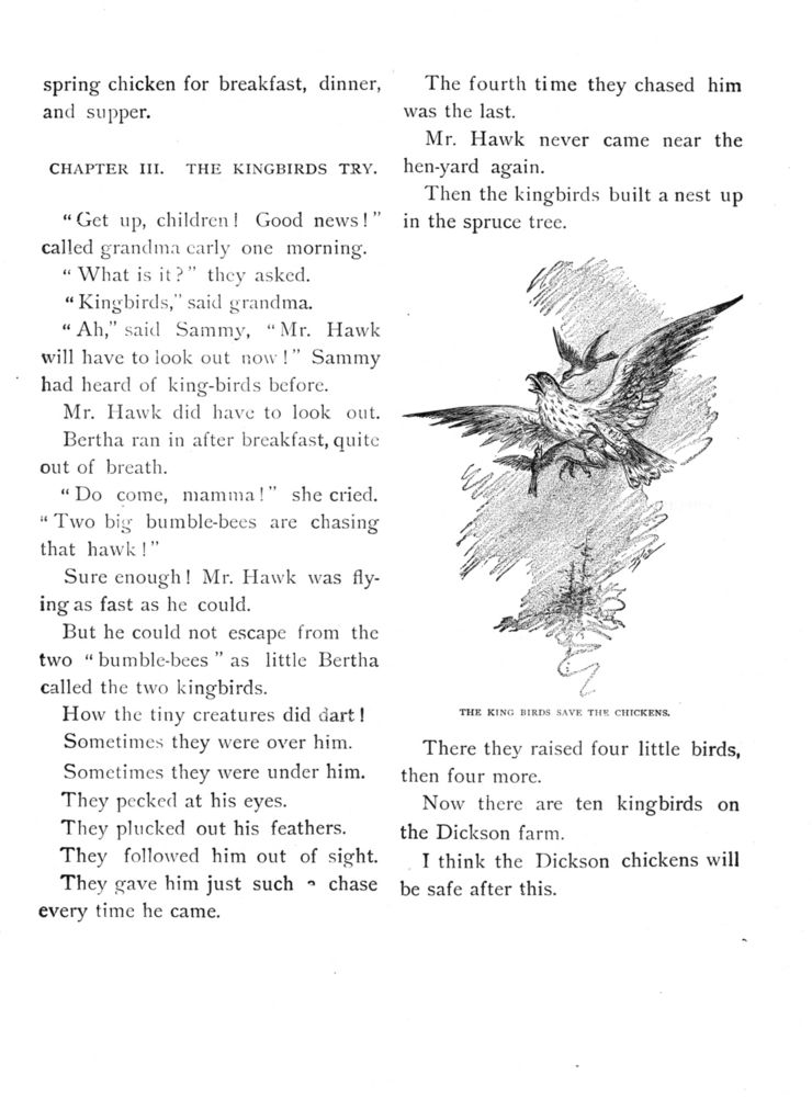 Scan 0029 of Bird tales
