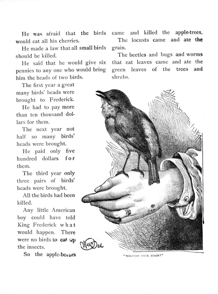 Scan 0036 of Bird tales