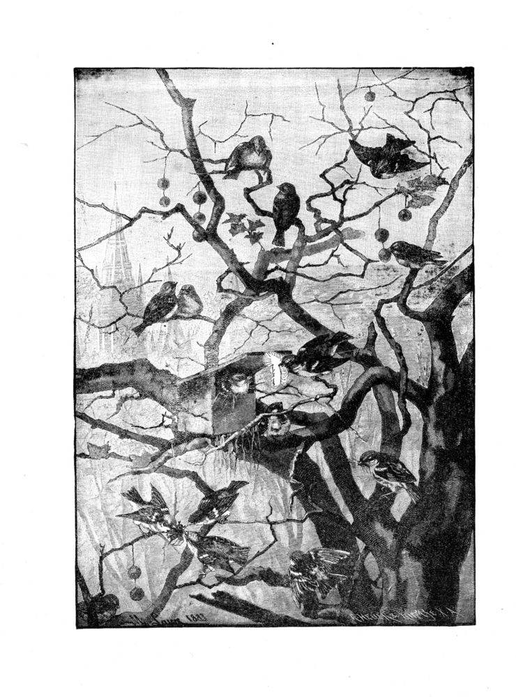 Scan 0083 of Bird tales