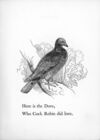 Thumbnail 0023 of Death and burial of Cock Robin