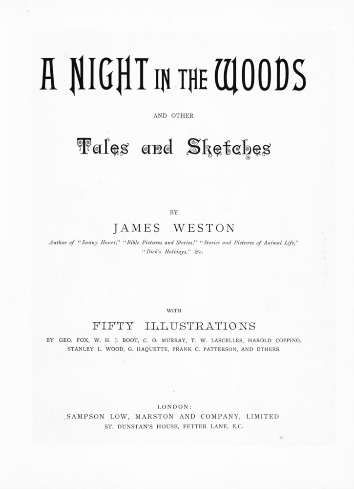 Scan 0006 of A night in the woods and other tales and sketches