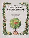 Thumbnail 0028 of Our Christmas 1985